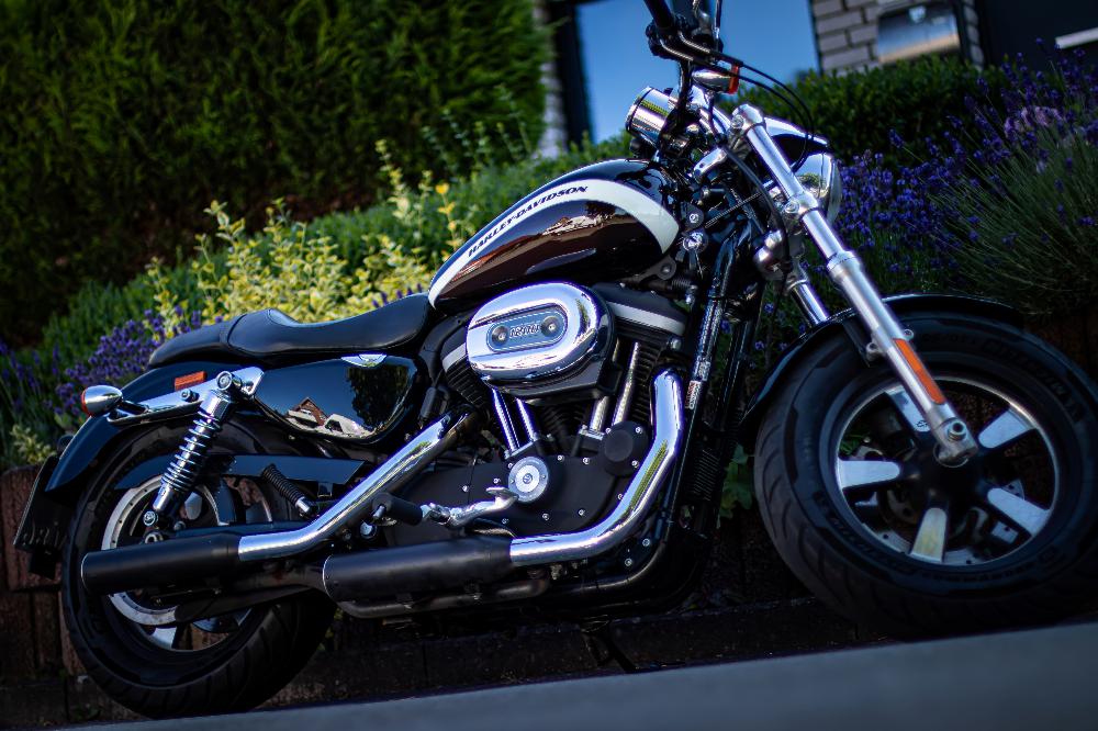 Motorrad verkaufen Harley-Davidson Sportster 1200 Custom Ankauf